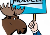 Im Voting Bull Moose